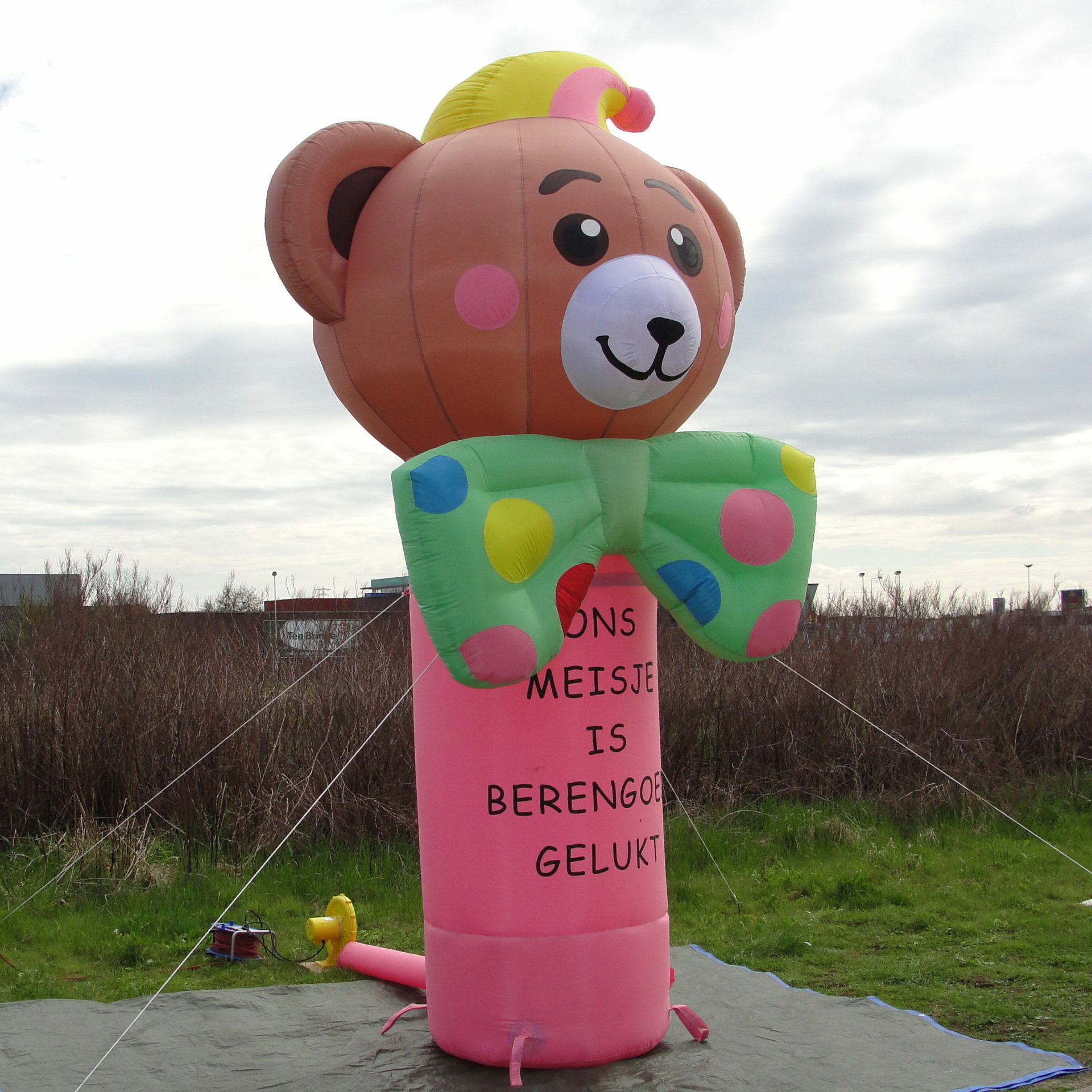 Geboortefiguur Beer 4,5m - Afbeelding 5