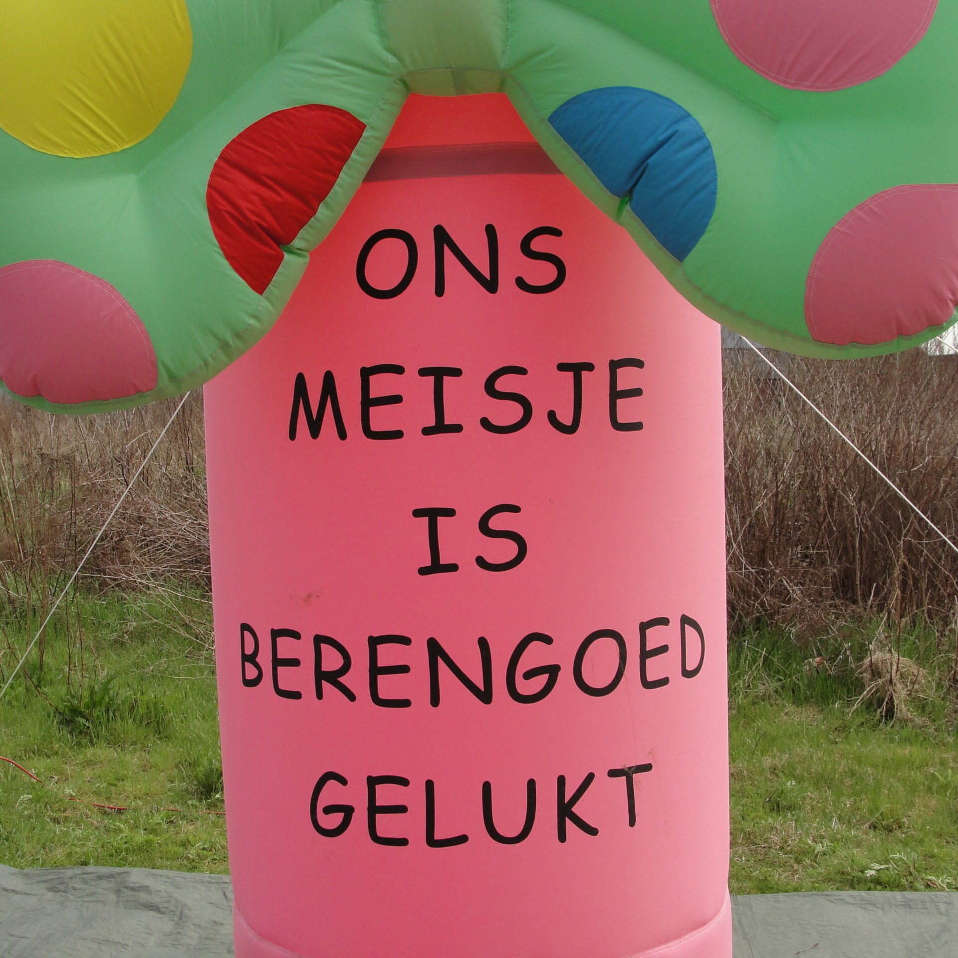 Geboortefiguur Beer 4,5m - Afbeelding 4