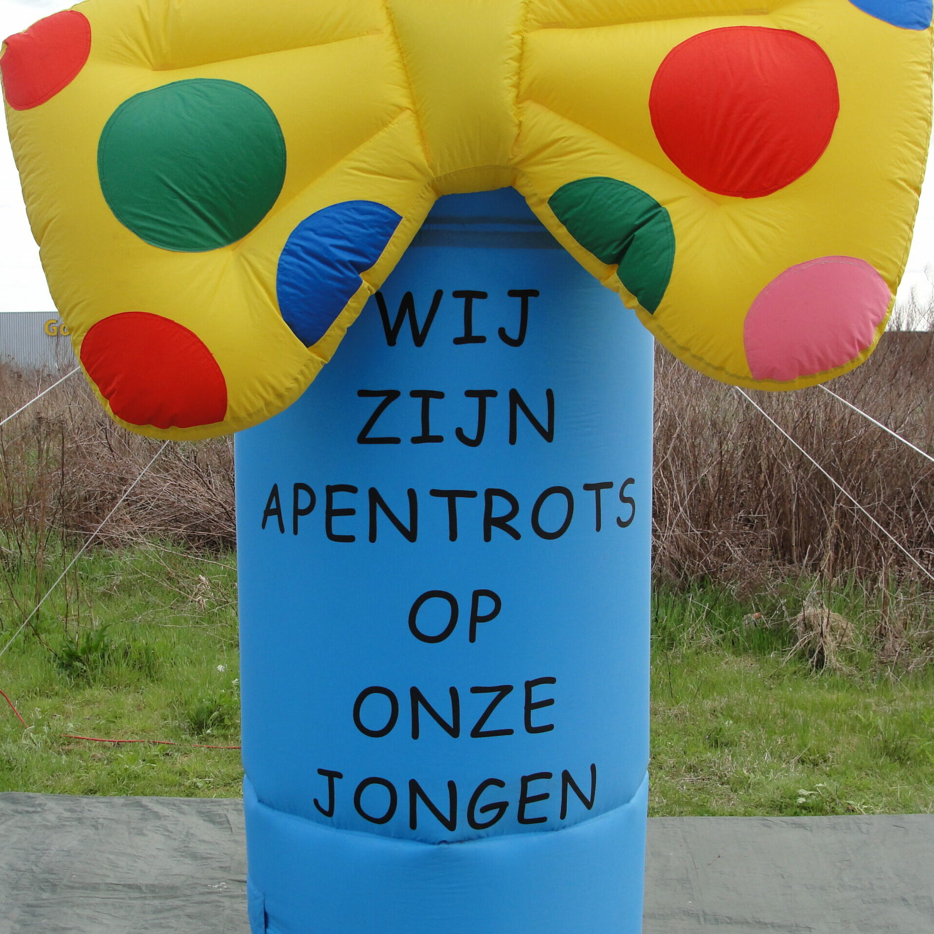 Geboortefiguur Aap 4,5m - Afbeelding 4