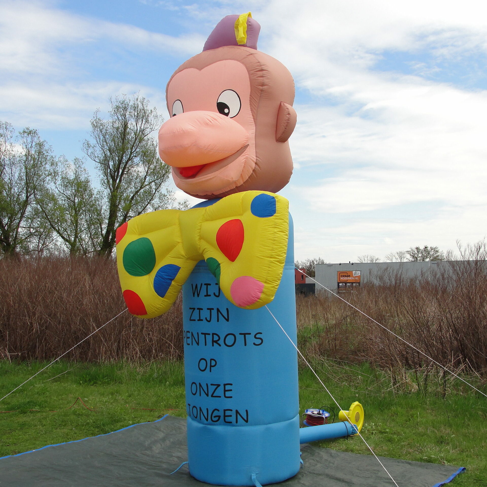 Geboortefiguur Aap 4,5m - Afbeelding 3