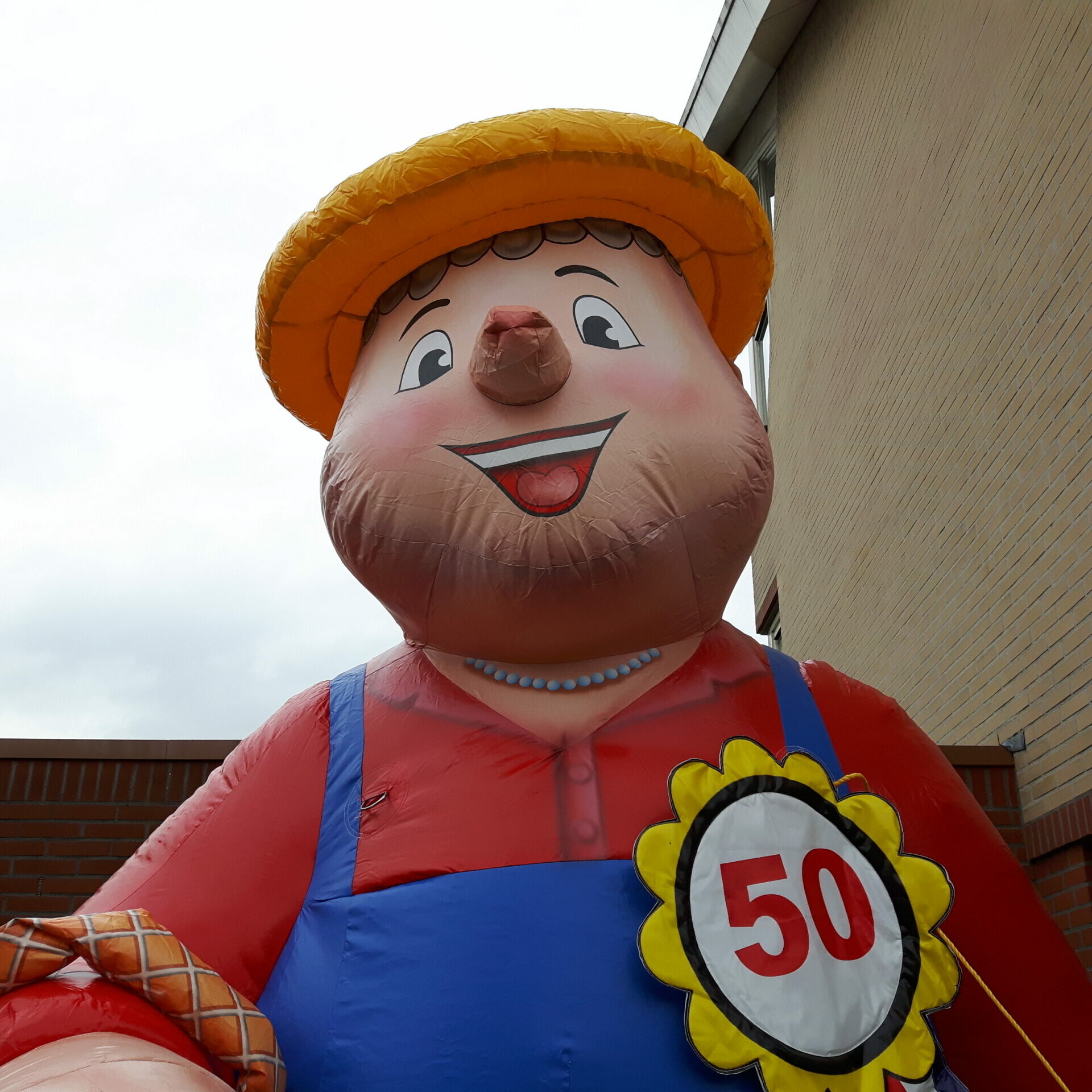 Sarah Boerin 4m - Afbeelding 3