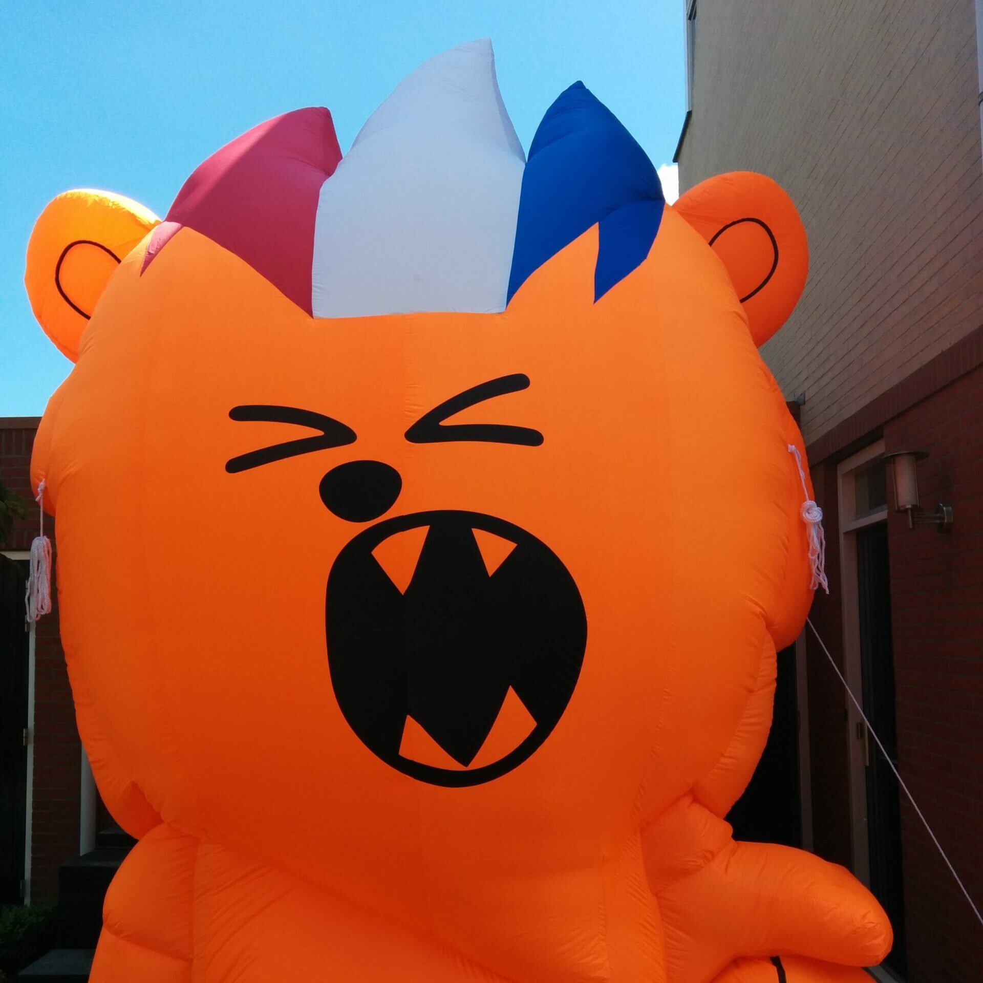 Opblaasbare Oranje Leeuw - Afbeelding 2