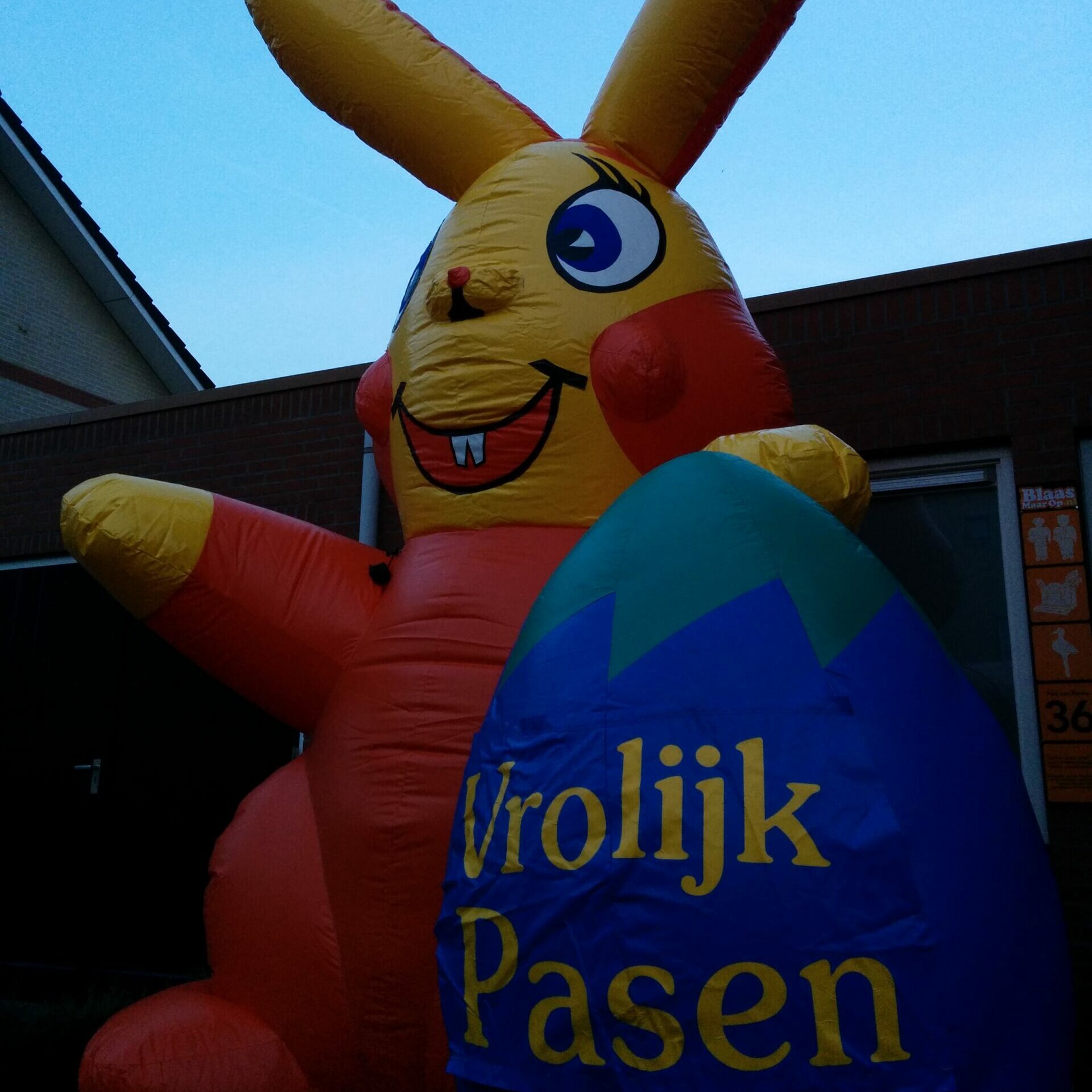 Paashaas 4,5m - Afbeelding 5