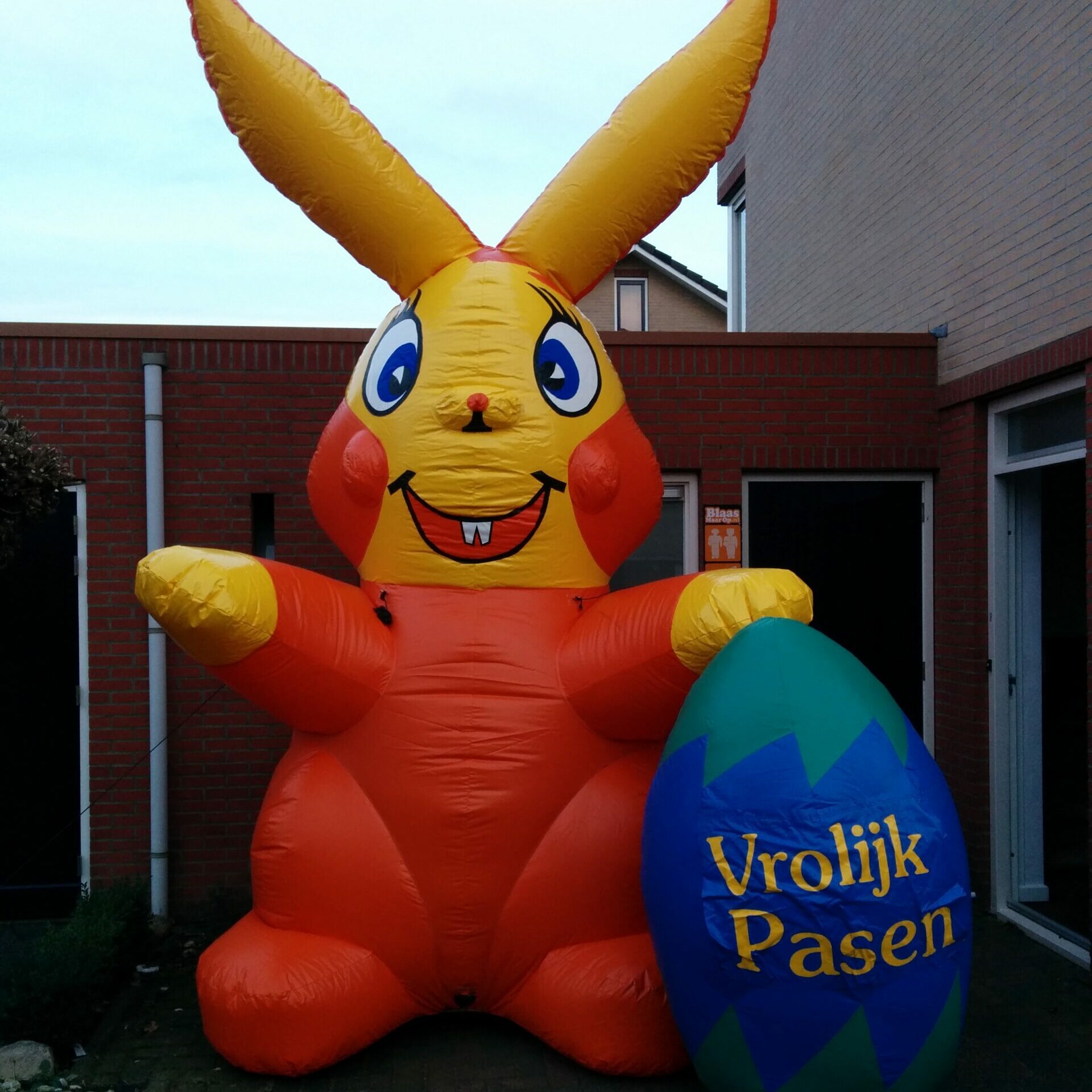 Paashaas 4,5m - Afbeelding 4