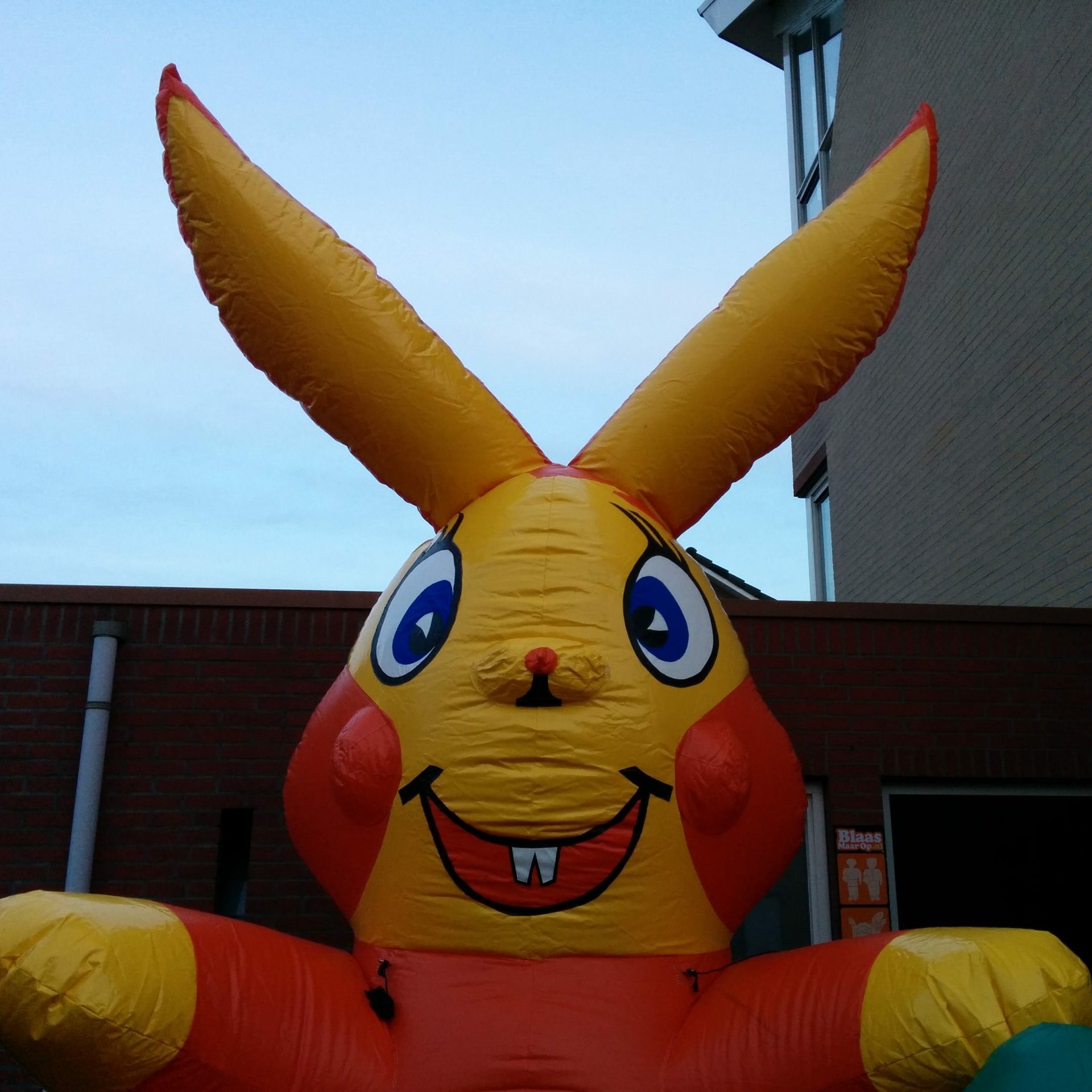 Paashaas 4,5m - Afbeelding 2