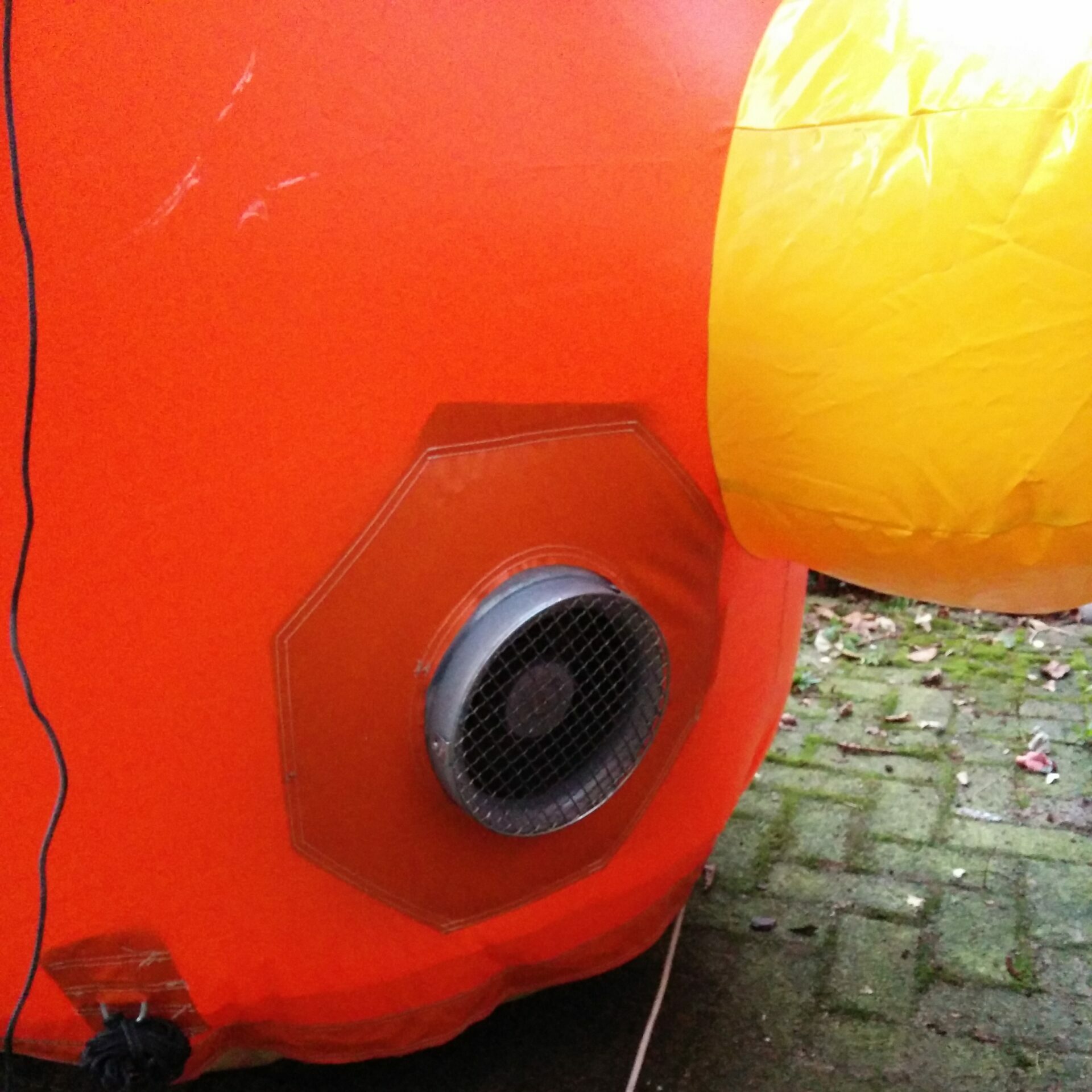 Paashaas 4,5m - Afbeelding 7