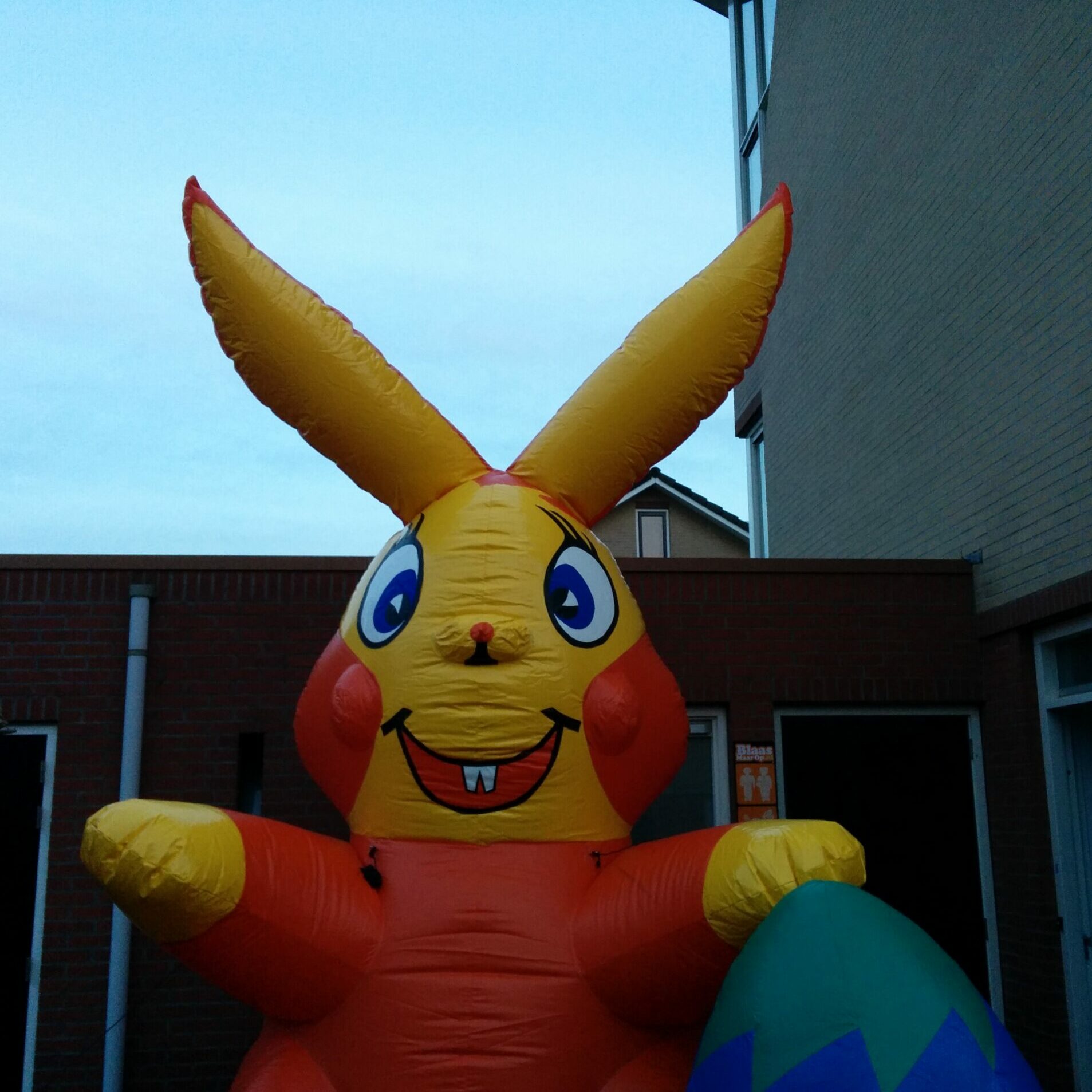 Paashaas 4,5m - Afbeelding 6