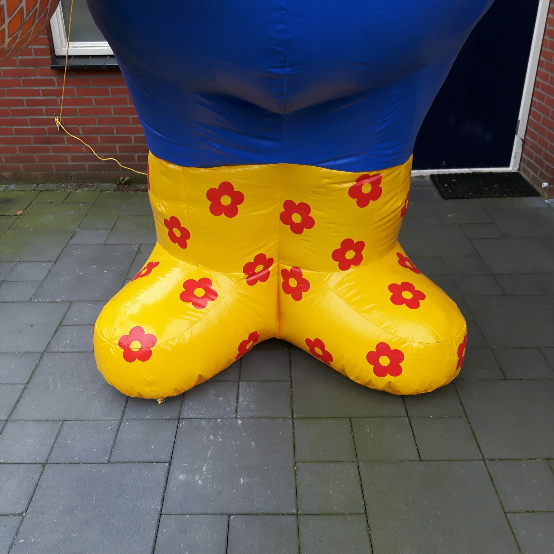 Sarah Boerin 4m - Afbeelding 4