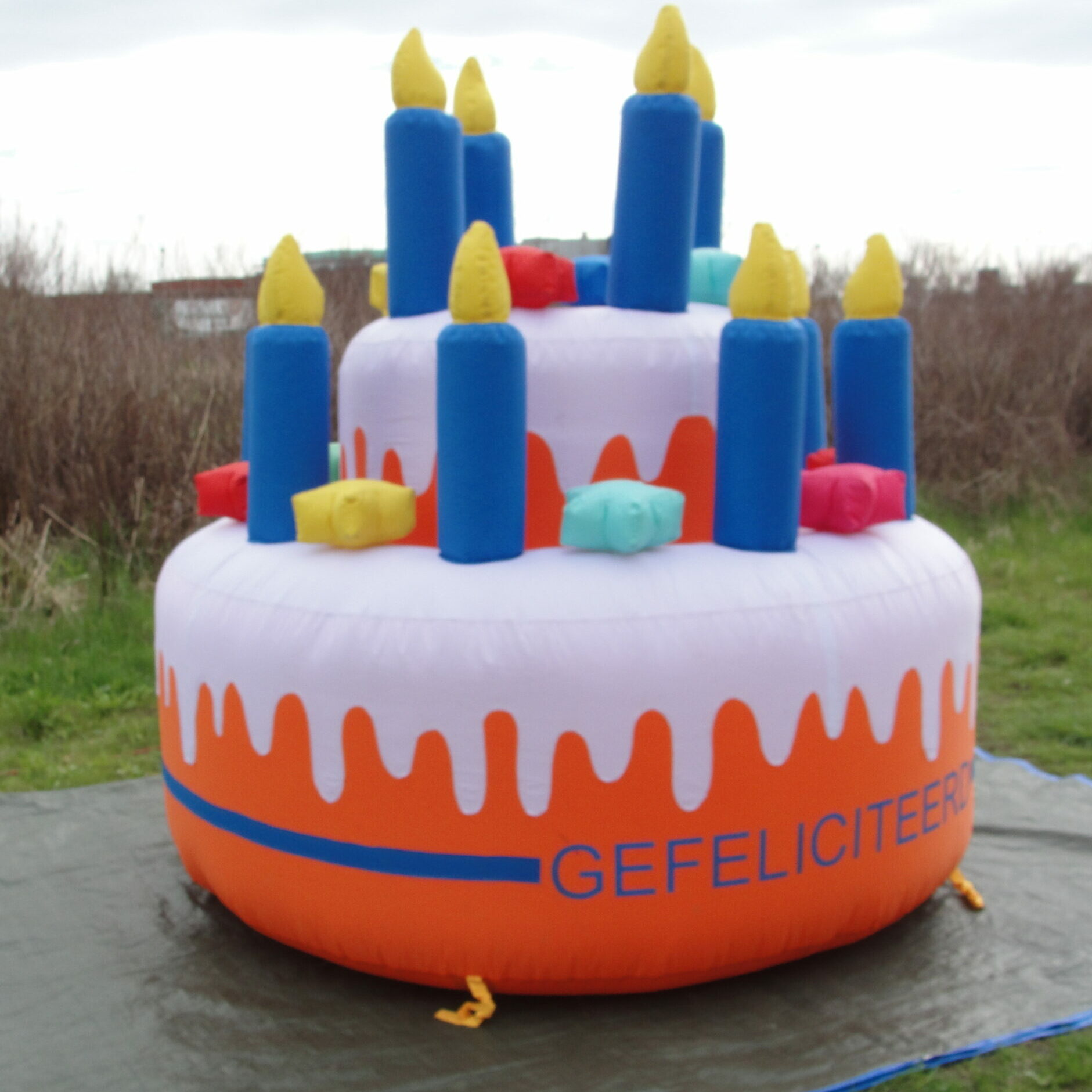 Taart 2,75m - Afbeelding 3