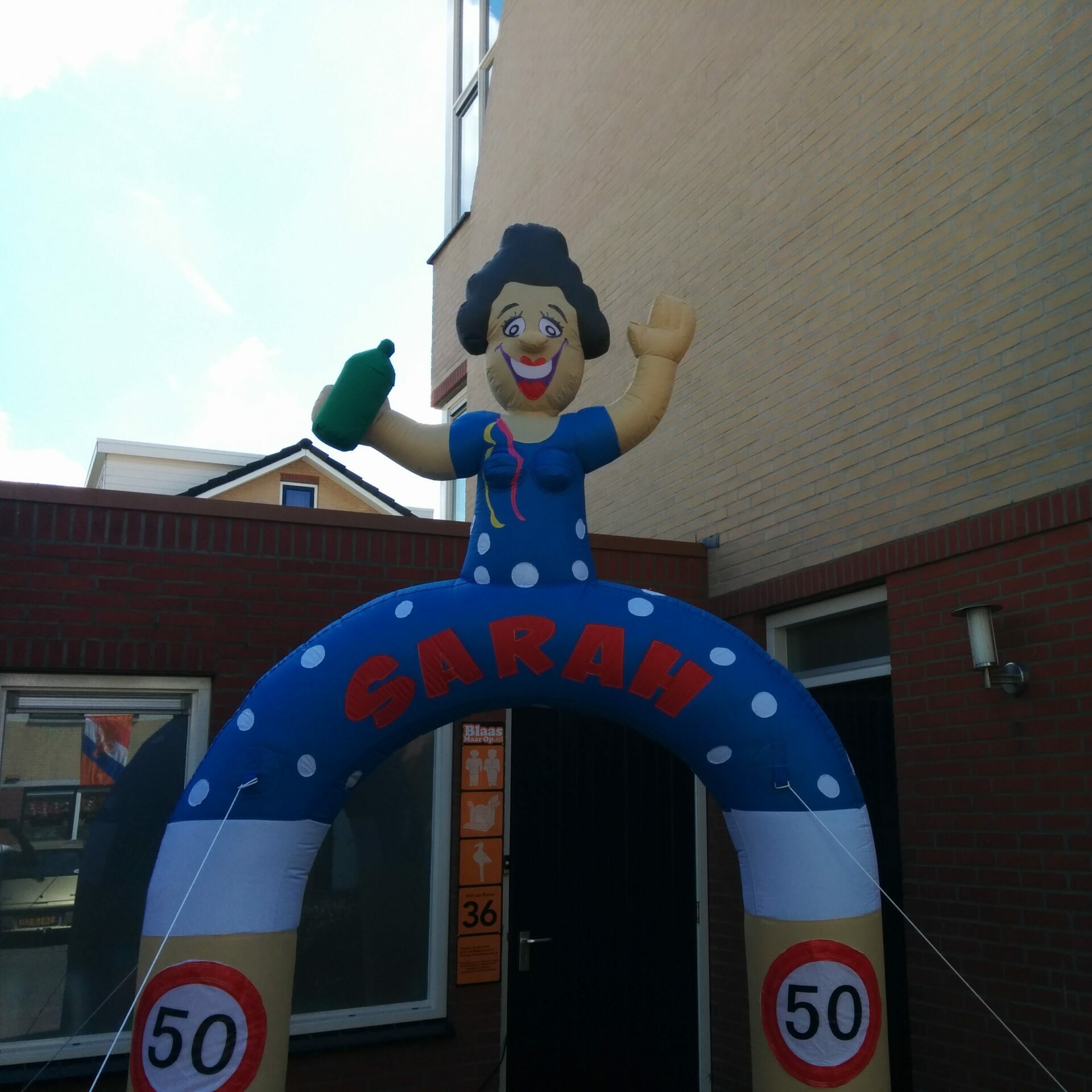 Sarah Feestend Feestboog 3,5m - Afbeelding 2