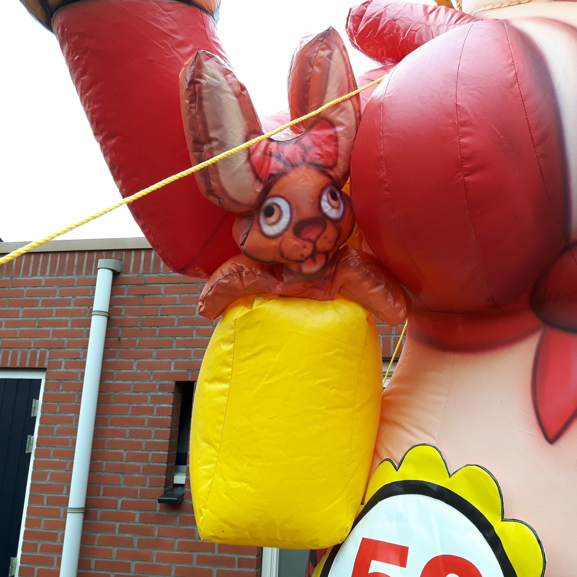 Sarah Flodder 4m - Afbeelding 2