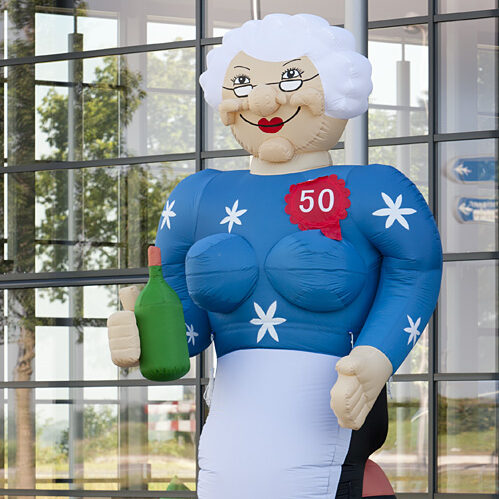 Sarah op Wijnvat 3,8m - Afbeelding 7